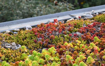 the cost of Blackdykes green roof installation