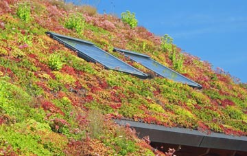 Blackdykes living roof systems