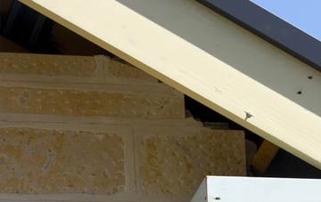 soffit repair Blackdykes