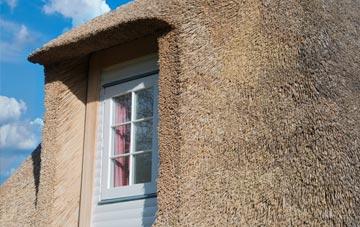 Blackdykes thatch roof disadvantages