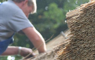 professional Blackdykes thatchers