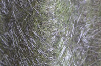 Blackdykes fibreglass roof work